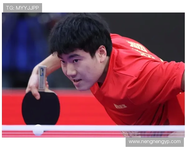 对话乒乓球名将杨军回顾辉煌生涯与未来展望