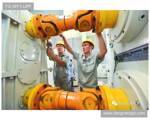 广州排球队中路突破创新之路探秘与战术解析