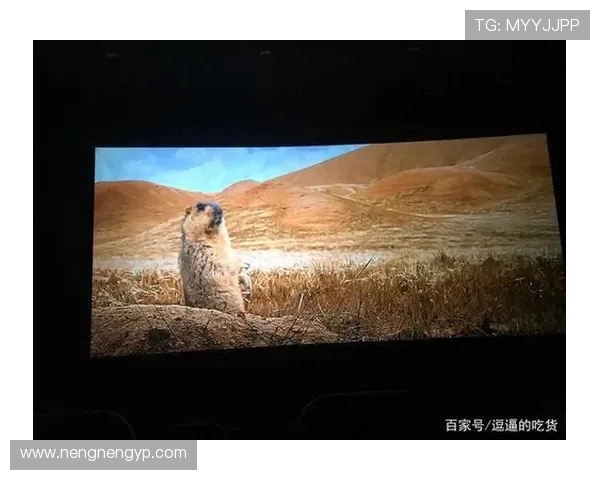 极限运动的挑战与激情周敏分享她的冒险人生与成长故事